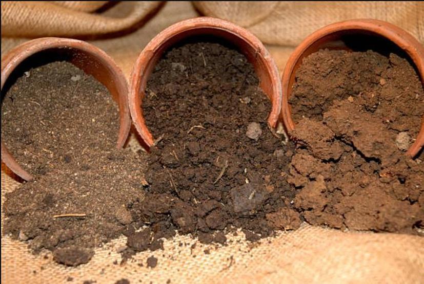 Çinli bilim insanları keşfetti Kanserin çaresi toprakta mı