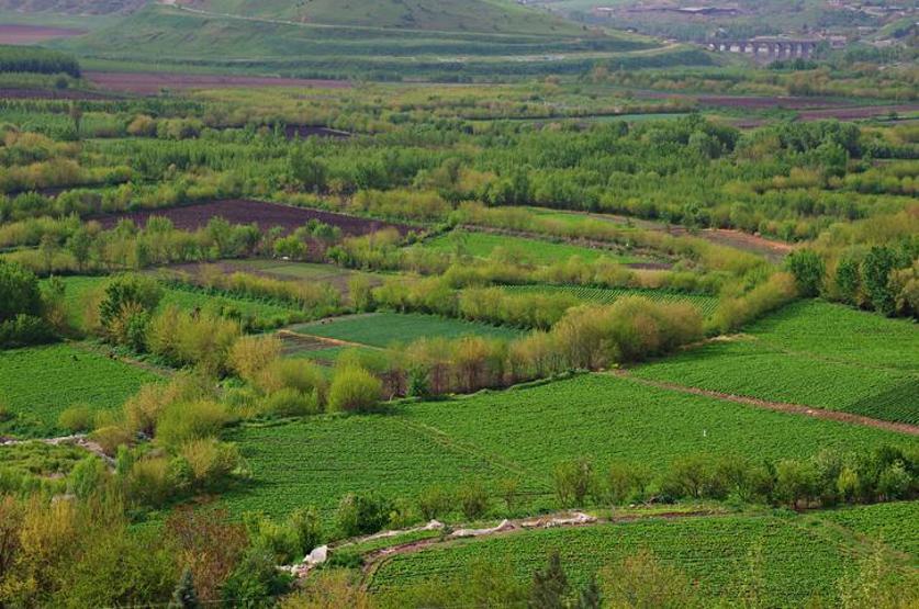 51 İlde 607 Arsa Satışa Çıkıyor: Yüzde 25 Peşin, 24 Ay Taksit Arsalar Nerelerde Ne Zaman, Satışa Sunulacak