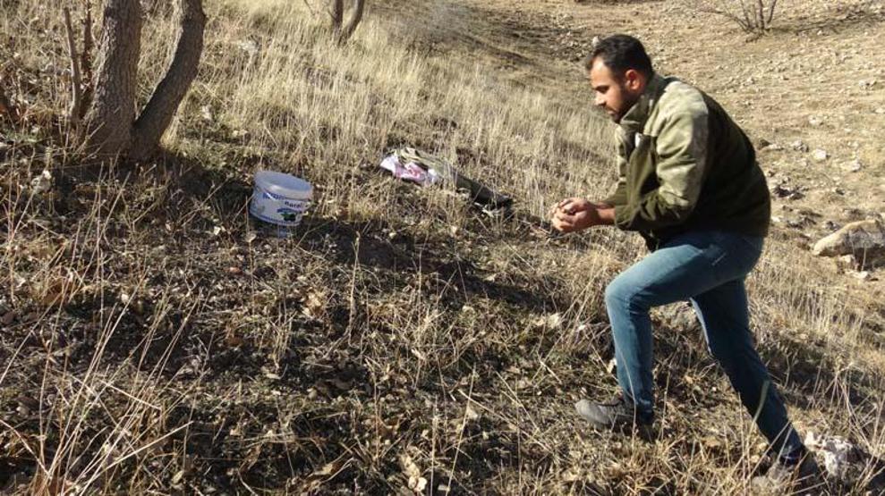HASTALIKLARA KARŞI ŞİFA DEPOSU; İLAÇ DEĞİL ÇEREZ Doğuda kışın vazgeçilmez lezzeti Hem çiğ hem pişmiş tüketiliyor