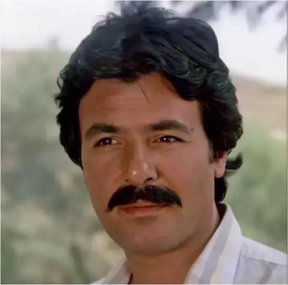 Ferdi Tayfurun serveti ortaya çıktı: Yarımada, koy ve 86 daire...