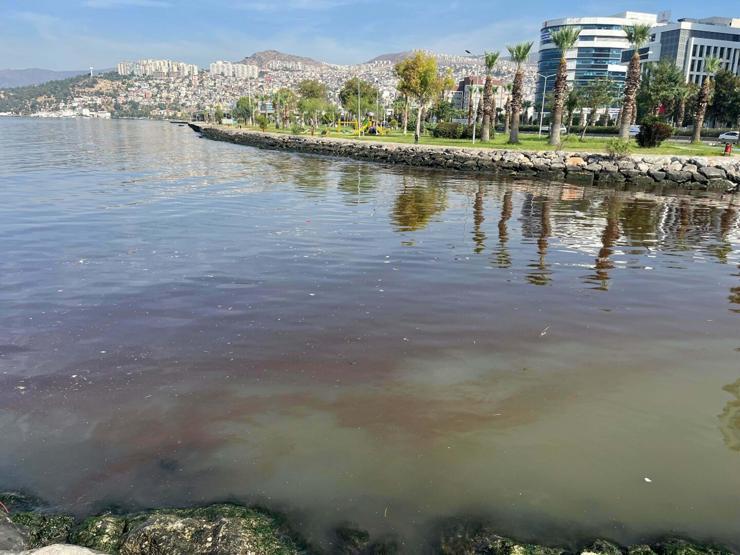İzmir Körfezinde korkutan tablo Soruşturma başlatıldı