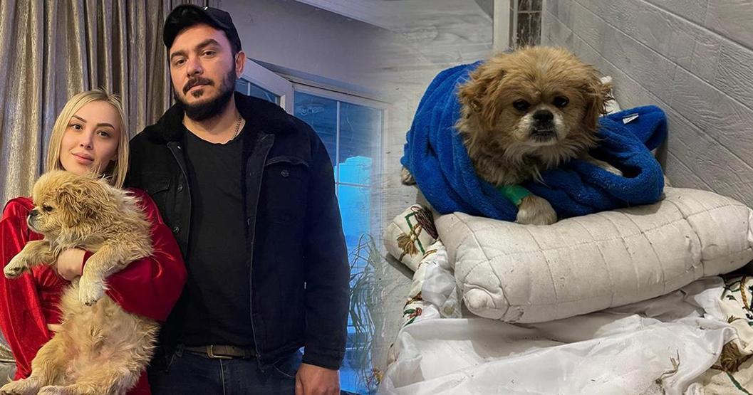 İnsanlık dışı bir olay... Ayaklarını bağlayıp çöpe atmışlar