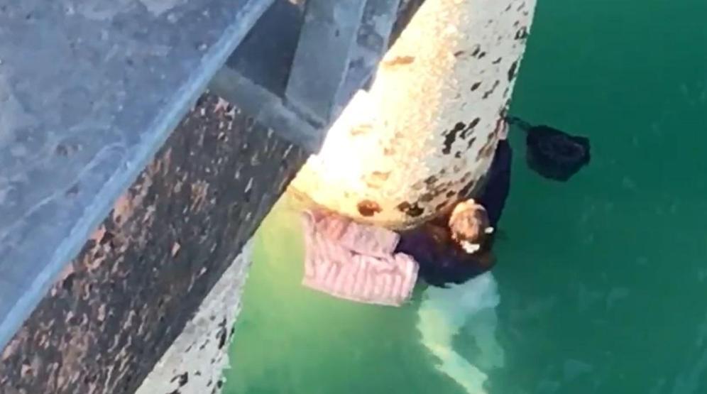 Köprüden baraj gölüne atlayan kadını su altı polisi kurtardı