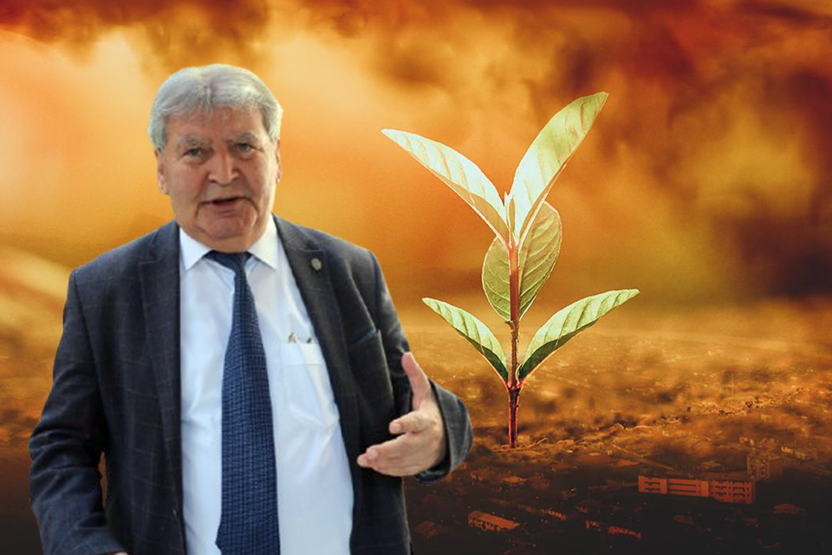 Çöl Tozları Geldi: Doğa Canlanıyor, Bahar Kapıda