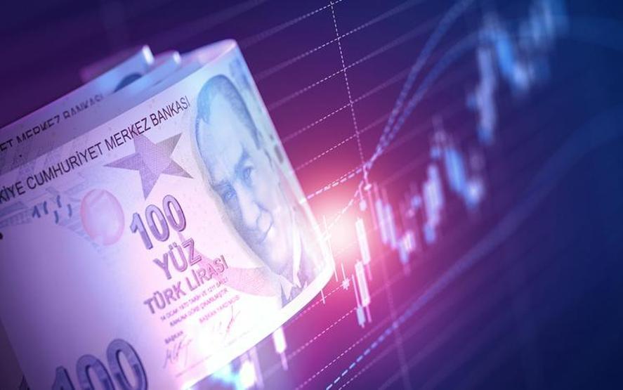 Borsa Yatırımcısı 2025’te Ne Yapacak Aracı Kurumlar Hangi Hisseleri Model Portföylerine Aldı İşte Öne Çıkan Hisseler…