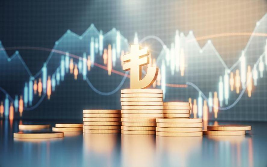 Borsa Yatırımcısı 2025’te Ne Yapacak Aracı Kurumlar Hangi Hisseleri Model Portföylerine Aldı İşte Öne Çıkan Hisseler…