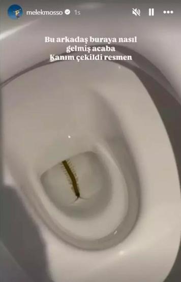 Melek Mosso, Bali tatiline devam ediyor: KANIM ÇEKİLDİ ARKADAŞLAR