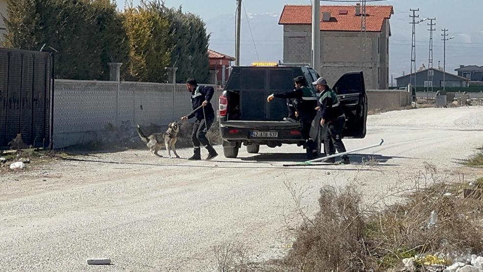 Sokak köpeklerinin saldırısında ölen Rananın Adli Tıp raporu çıktı