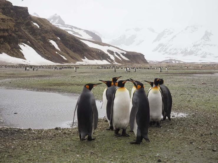 Antarktika’da doğayı gözlemleyip, fotoğraflıyor