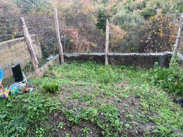 Ölüm döşeğinde itiraf: Dedesi babası çıktı DNA testi öncesi mezardan kemikleri çalındı