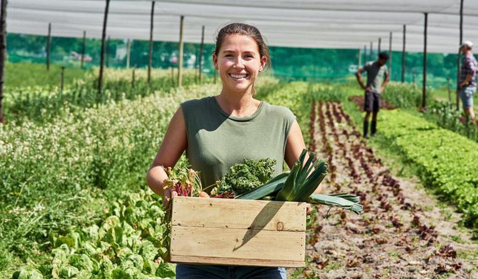 Milyonlarca çalışanı ilgilendiren karar Emeklilikte ‘7 yıl kuralı’ tarih oluyor