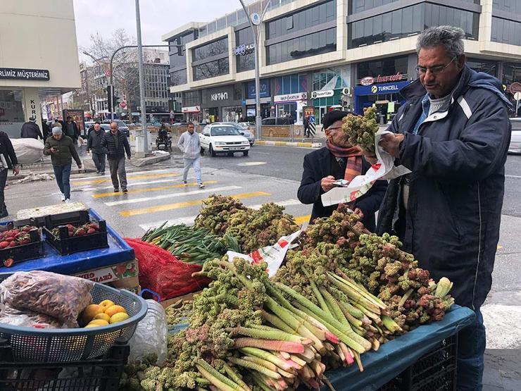 Doğada Kendiliğinden Yetişiyor: Kanserin Yeni İlacı Olarak Nitelendirilen Vitamin Deposu Tezgahta