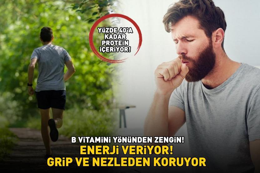 B VİTAMİNİ DEPOSU Yüzde 40’a kadar protein içeriyor Grip, nezle ve soğuk algınlığından koruyor, enerji veriyor