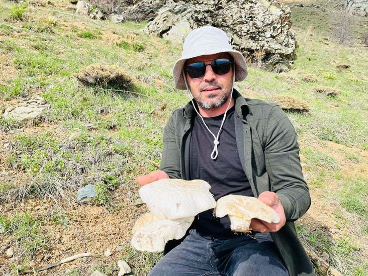 Doğada kendiliğinden yetişen protein deposu 2 bin rakımın üzerinde yetişiyor