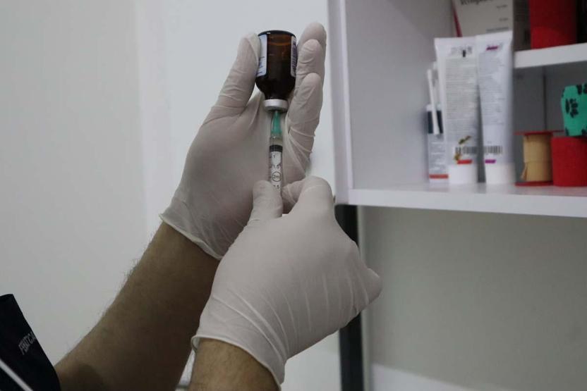 Evcil hayvan sahipleri dikkat: Yaz mevsiminde bunlara dikkat etmek hayati önem taşıyor