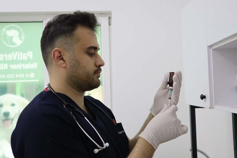 Evcil hayvan sahipleri dikkat: Yaz mevsiminde bunlara dikkat etmek hayati önem taşıyor