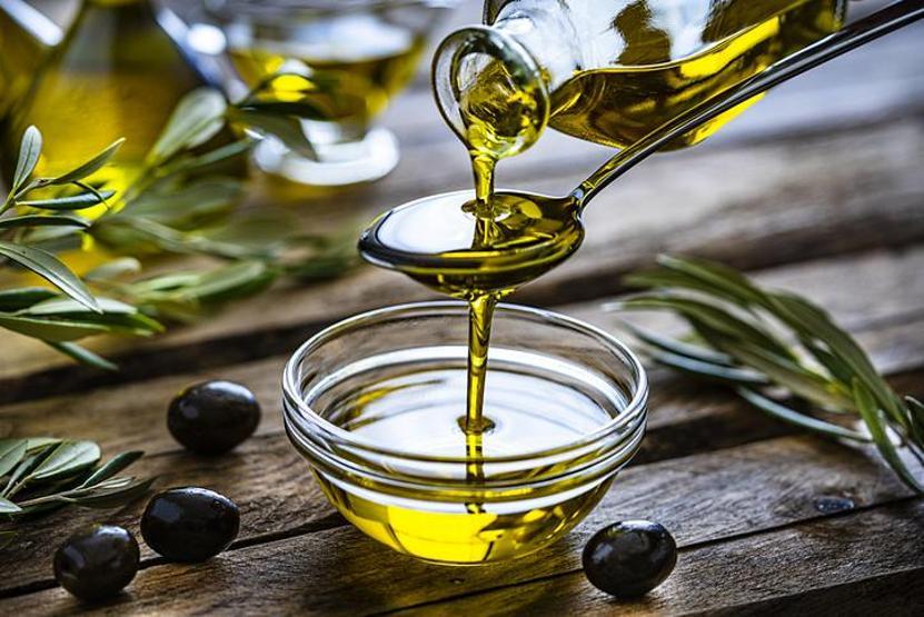 Zeytin Nasıl Yetişir Türkiyede Zeytin En İyi Nerede Yetişir