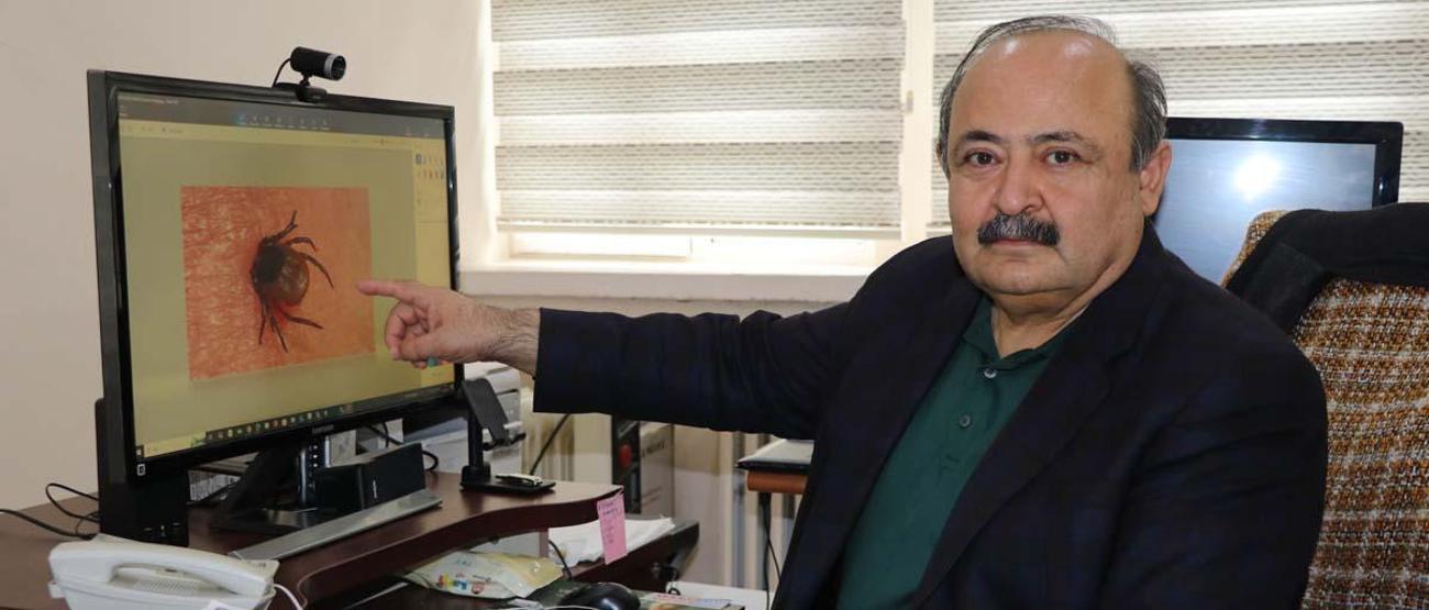 7 ilde kene alarmı Kendisi kadar yanlış uygulamalar da öldürüyor... Sakın bu hataları yapmayın
