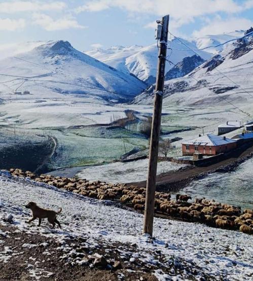 Mayıs ayında şaşırtan görüntü İlçe beyaza büründü