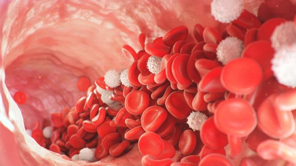 Faydaları saymakla bitmiyor A, C, E vitaminleri, demir, magnezyum ve lif yönünden zengin Sindirimi destekliyor, kırışıklıkları önlüyor