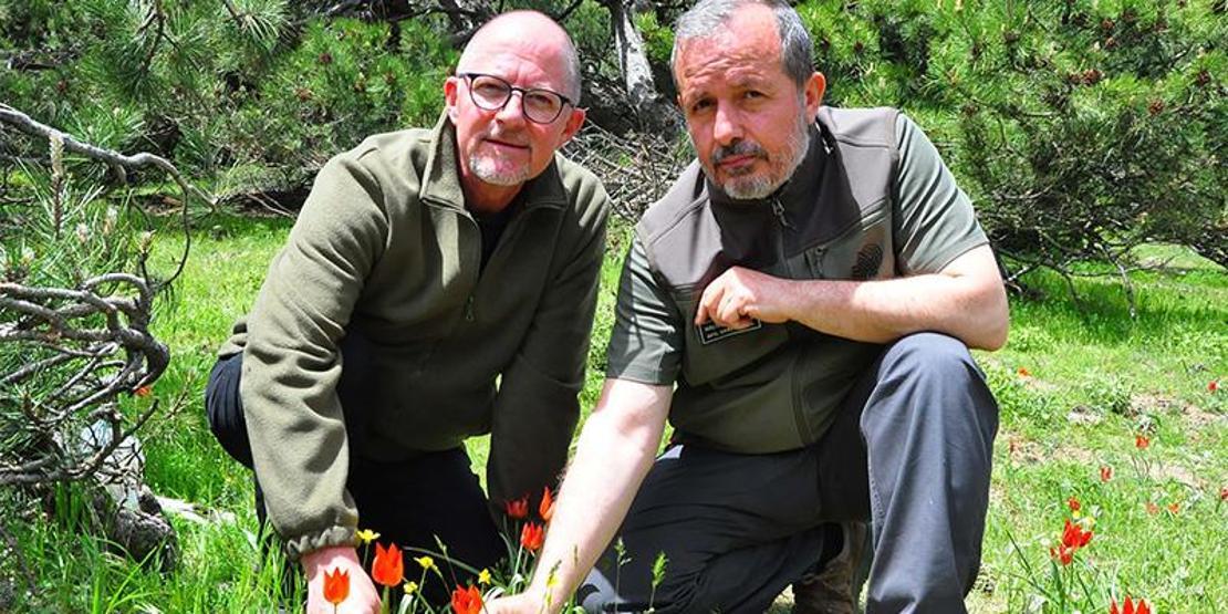 Senede bir kere açıp sadece 10 gün yaşıyor Dokunan yandı: Yüz binlerce lira cezası var