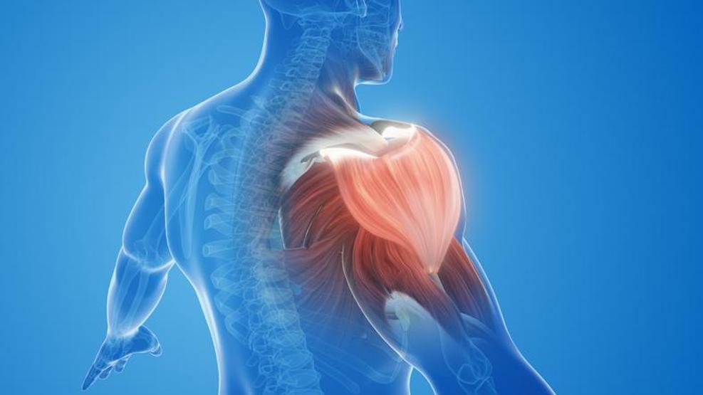 PROFESYONEL SPORCULARIN SIR GİBİ SAKLADIĞI YÖNTEM En güçlü antioksidan Kasları çelik gibi yapıyor