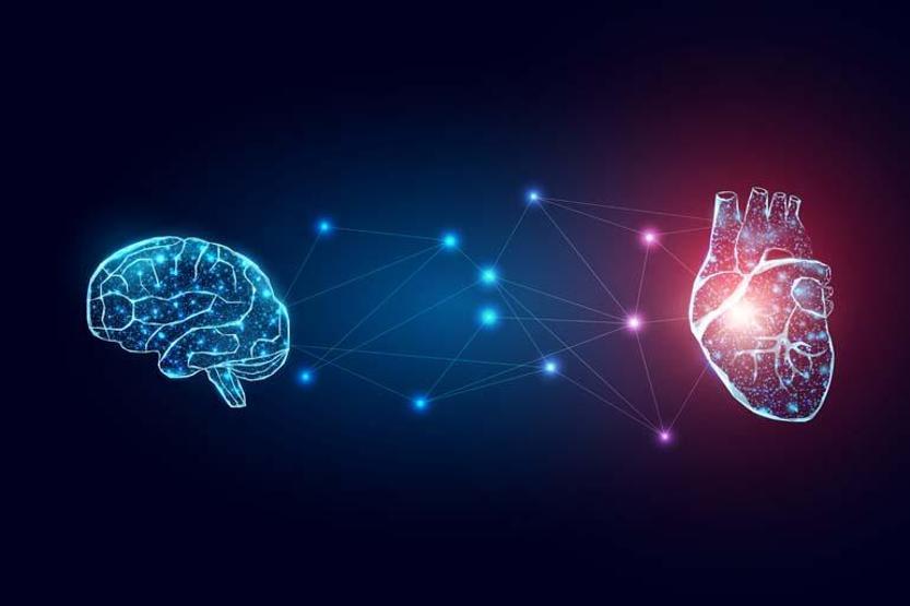 Kalbe de beyne de iyi bakılmalı Dilara Koçak yazdı