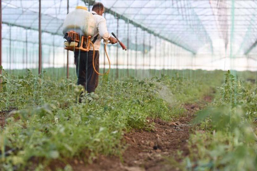 Sağlıklı ve ilaçsız gıdaya erişim zorlaştı Gıda yalanlarına karşı ne yapmalı