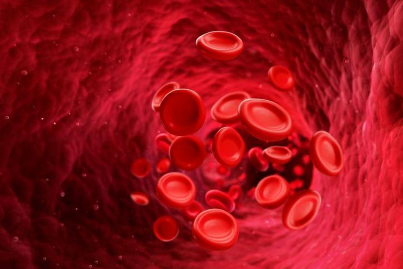 Ferritin Nedir Ferritin Seviyesi Nasıl Olmalı Yüksekliği ve Düşüklüğü Sağlığınızı Nasıl Etkiler