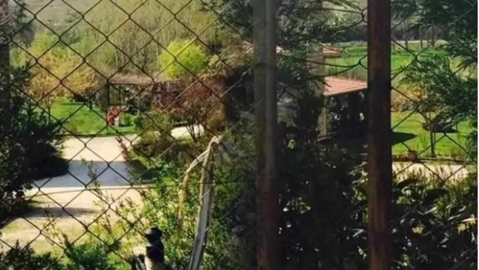 İstanbuldan kaçan Candan Erçetin çiftlik kurdu