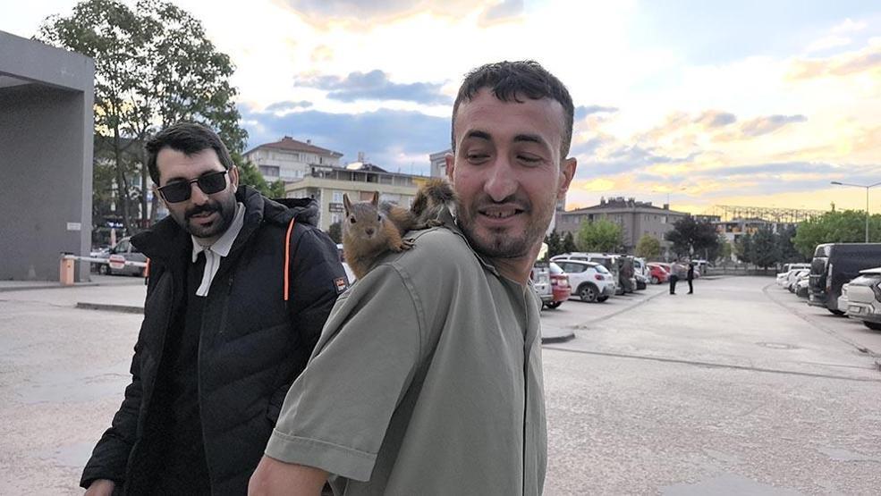 Eliyle beslediği sincap, peşini bırakmadı