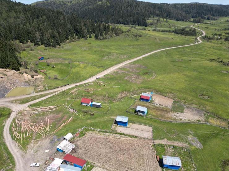 Bartın Uluyaylada ilkbahar manzarası havadan görüntülendi