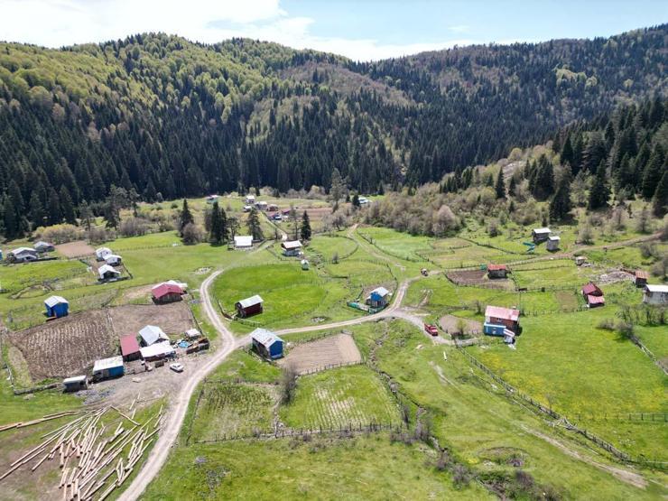 Bartın Uluyaylada ilkbahar manzarası havadan görüntülendi