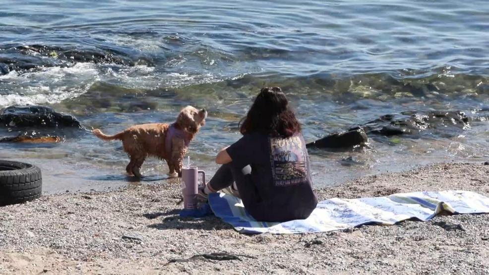 Termometreler 26 dereceyi gösterdi İstanbullular soluğu sahillerde aldı