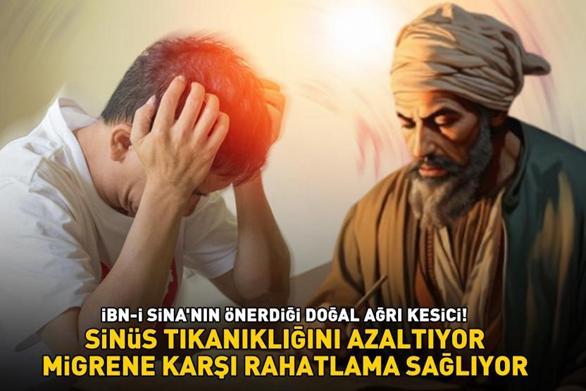 Migrene karşı rahatlama sağlıyor, sinüs tıkanıklığını azaltıyor İBN-İ SİNANIN TAVSİYE ETTİĞİ DOĞAL AĞRI KESİCİ