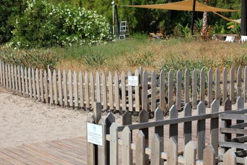 Tatil beldelerinde bulunuyor Koparmanın cezası 387 bin TL