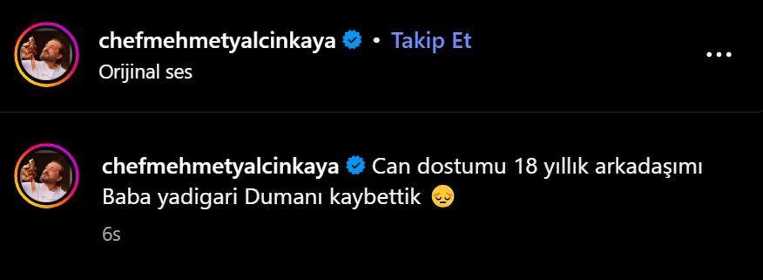 MasterChef Mehmet Yalçınkayanın acı günü Üzüntüsünü böyle dile getirdi: Can dostumu, 18 yıllık arkadaşımı kaybettik