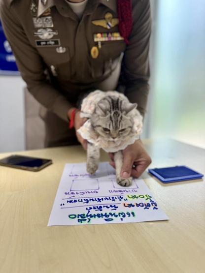 Sosyal medyada viral oldu: Sabıkalı kedi Polisleri ısırdı, pati izi alındı