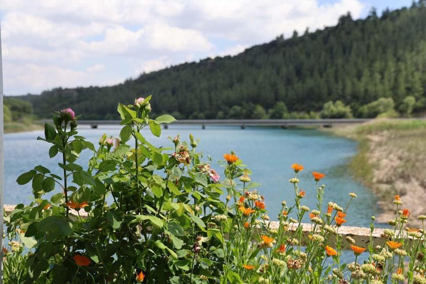 Ziyaretçilerini dinlendiren manzara: Aladağ