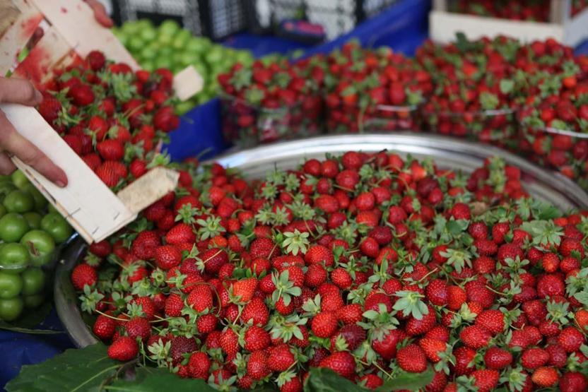 İşte Avrupa Birliğinden Coğrafi İşaret Tescili Alan 32 Ürünümüz