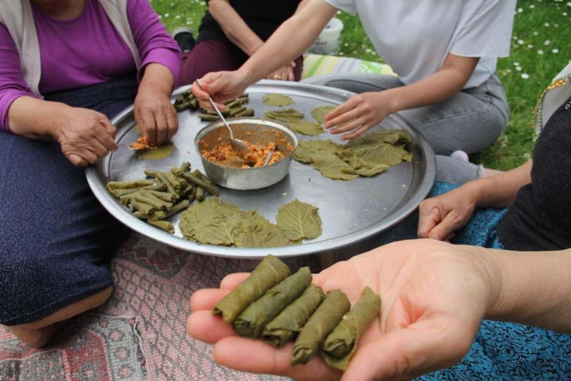 Meme ve Akciğer Kanseri Hücrelerini Kökünden Kazıyacak Karadenizin Geleneksel Lezzeti Kansersavar Çıktı Bilimsel Çalışmalar Ortaya Koydu: Fındık Yaprağı...