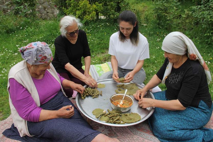 Meme ve Akciğer Kanseri Hücrelerini Kökünden Kazıyacak Karadenizin Geleneksel Lezzeti Kansersavar Çıktı Bilimsel Çalışmalar Ortaya Koydu: Fındık Yaprağı...