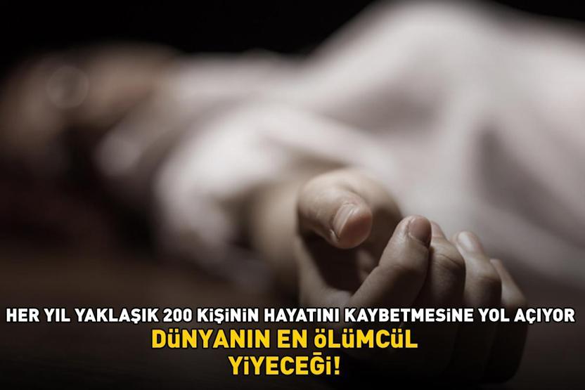 Dünyanın en ölümcül yiyeceği Her yıl yaklaşık 200 kişinin hayatını kaybetmesine yol açıyor