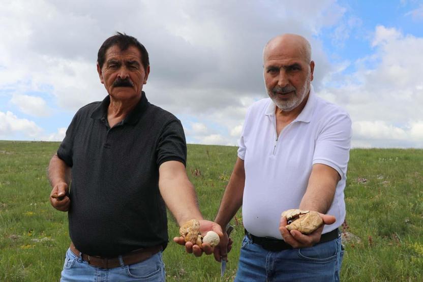 Bedava Protein Doğadan Elleriyle Tek Tek Topluyorlar