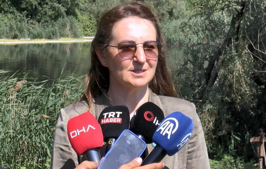 Müsilaja karşı yeni önlem: Çapraz Çayında hayata geçirildi