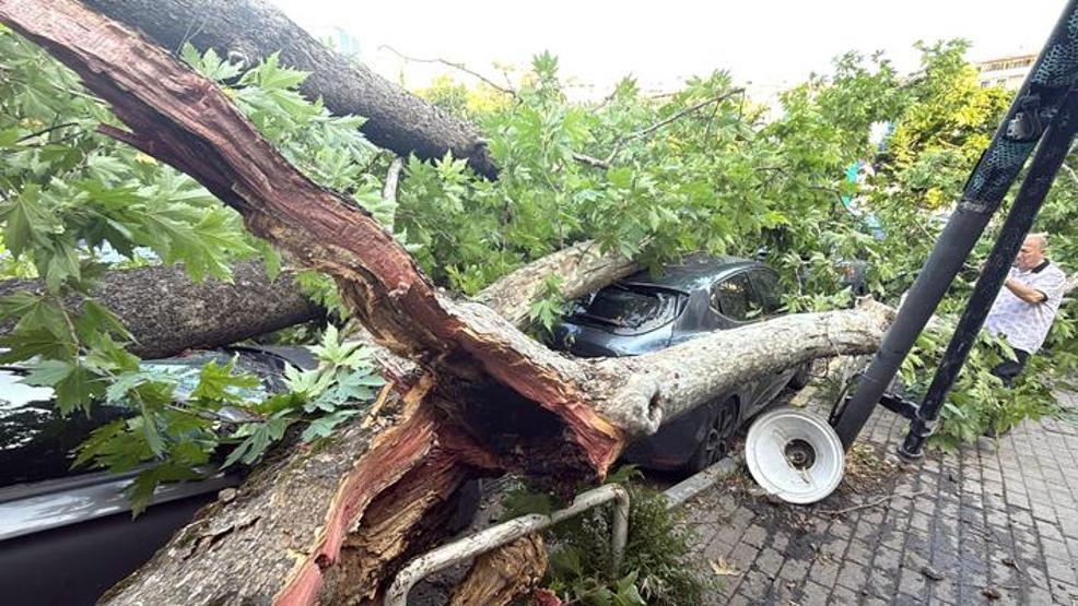 150 yıllık ağaç devrildi: 3 araç kullanılamaz hale geldi