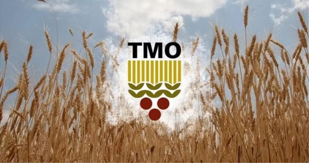 TMO BUĞDAY FİYATLARI 2025: Hububat ve Buğday Alım Fiyatları Ne Kadar Oldu Bu Yıl Arpa ve Buğday Ton Fiyatı Ne Kadar Oldu