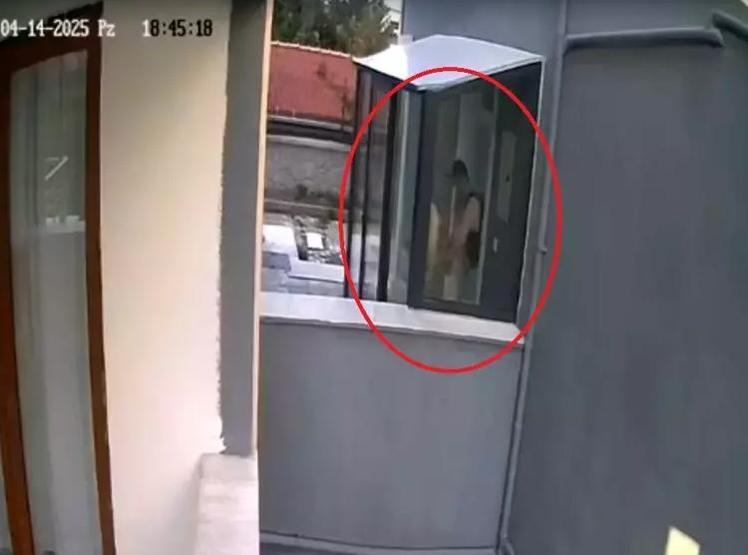 Cani doktorun kan donduran vahşeti: Hayvanlara cinsel istismar ve katliam | İğrenç detaylar ortaya çıktı