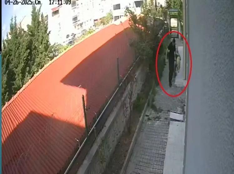 Cani doktorun kan donduran vahşeti: Hayvanlara cinsel istismar ve katliam | İğrenç detaylar ortaya çıktı