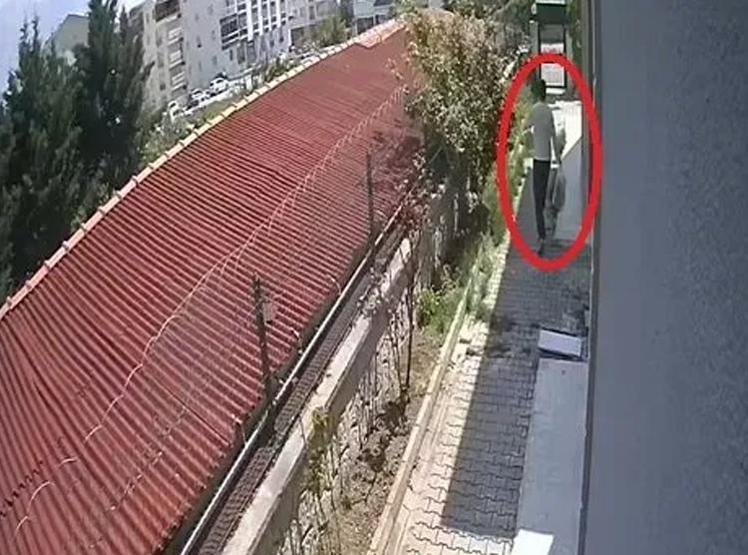 Cani doktorun kan donduran vahşeti: Hayvanlara cinsel istismar ve katliam | İğrenç detaylar ortaya çıktı